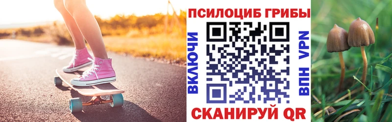 Галлюциногенные грибы Magic Shrooms Архангельск