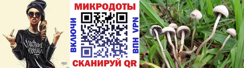 shop наркотические препараты  хочу   Архангельск  Галлюциногенные грибы прущие грибы 